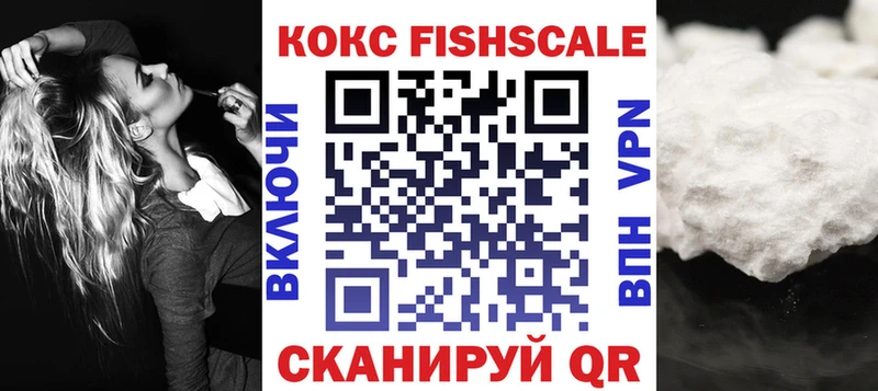 купить   Киселёвск  дарк нет формула  COCAIN Эквадор 