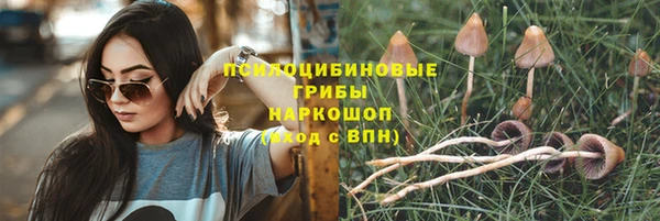 ГАЛЛЮЦИНОГЕННЫЕ ГРИБЫ Нефтегорск