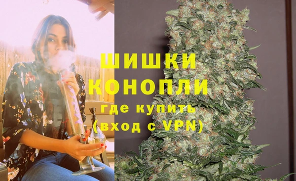 spice Новозыбков